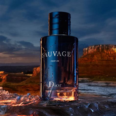 dior sauvage parfum pakket|dior sauvage cheapest price 100ml.